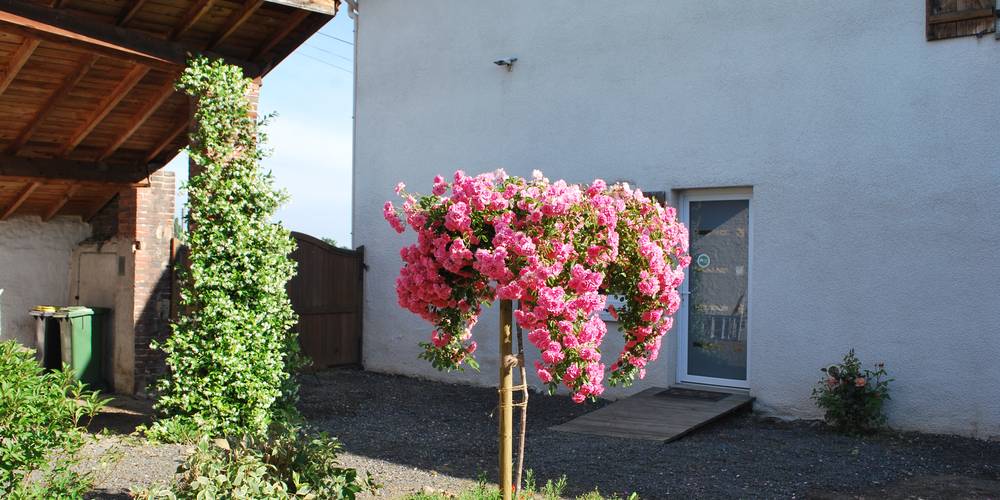 entrée -  GITE "LA FERME DES CHÊNES" (Auvergne-Rhône-Alpes, Loire)