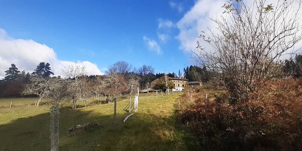 là-haut dans la vallée -  LE REFUGE DE P'TIT ÂNE (Auvergne-Rhône-Alpes, Haute-Loire)