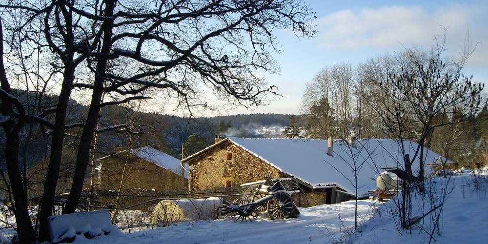  LE REFUGE DE P'TIT ÂNE (Auvergne-Rhône-Alpes, Haute-Loire)