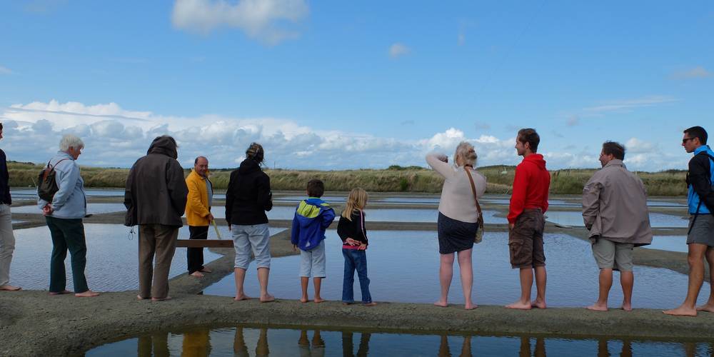Visite de saline -  LE PALUDIER (Pays de la Loire, Loire-Atlantique)