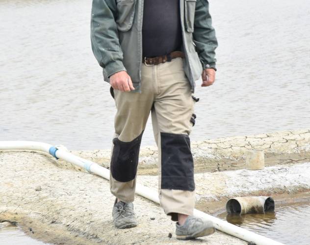 Sur la saline -  LE PALUDIER (Pays de la Loire, Loire-Atlantique)