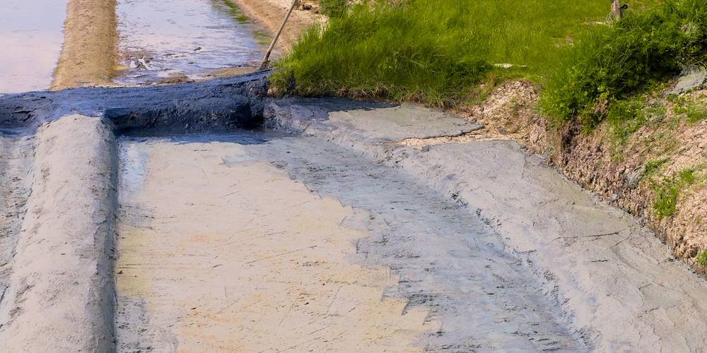 La saline au printemps -  LE PALUDIER (Pays de la Loire, Loire-Atlantique)