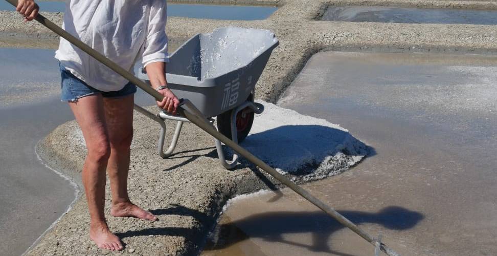 Récolte de la fleur de sel -  LE PALUDIER (Pays de la Loire, Loire-Atlantique)