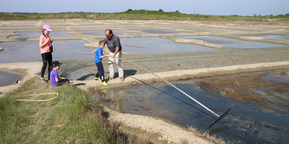 Visite de saline -  LE PALUDIER (Pays de la Loire, Loire-Atlantique)