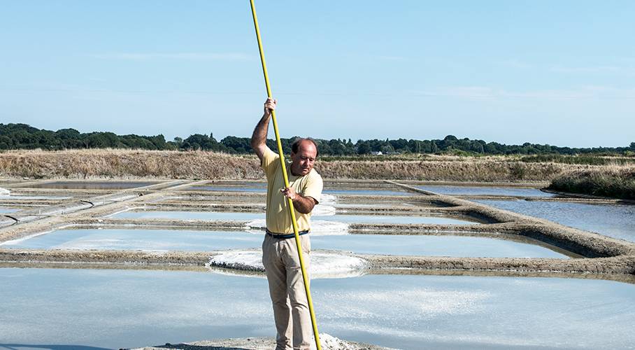  LE PALUDIER (Pays de la Loire, Loire-Atlantique)