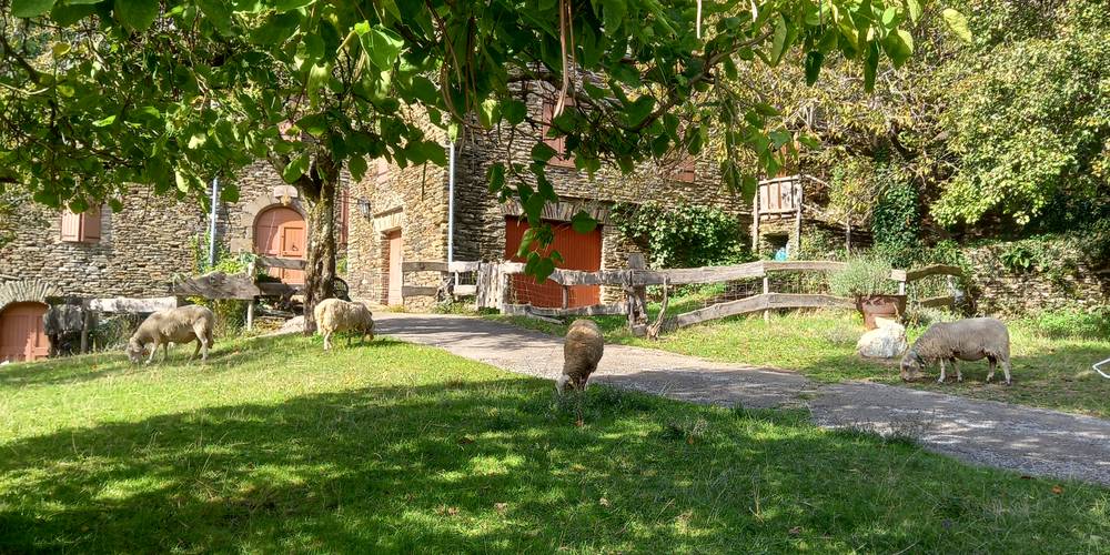  LOU BANCILHON (Occitanie, Lozère)