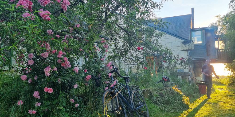 Gîte principal -  LA FERME DU PORT (Pays de la Loire, Maine-et-Loire)