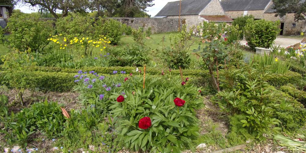 on adore les pivoines en mai -  FERME DE LA CAUBRIÈRE (Normandie, Manche)