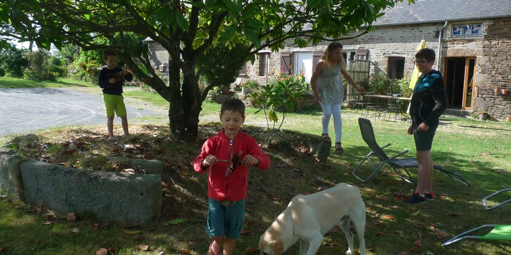 Espace vert -  2 CHEMIN LA BAILLÉE CHENEL (Normandie, Orne)