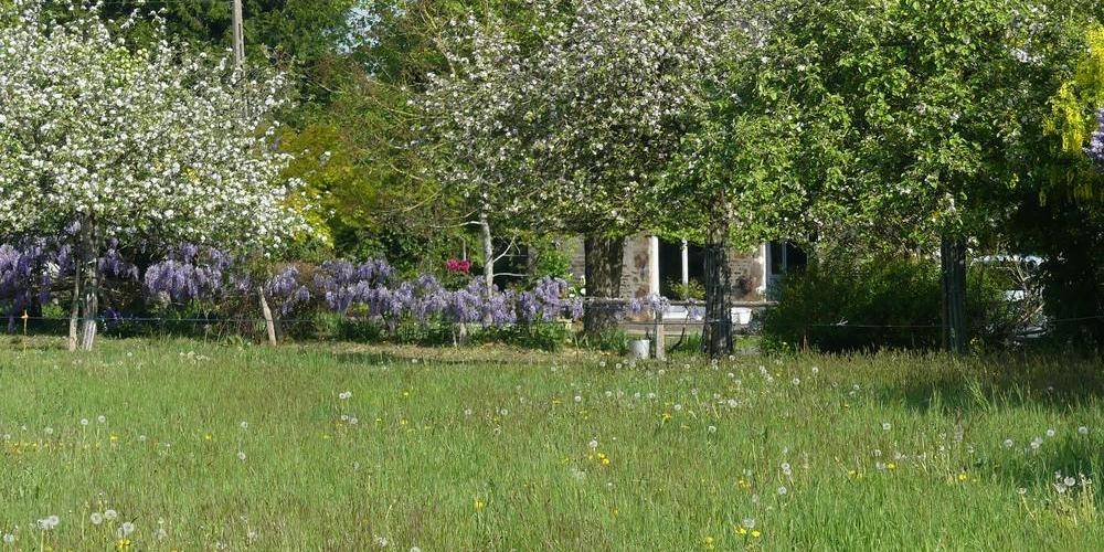 Arbre en fleurs -  2 CHEMIN LA BAILLÉE CHENEL (Normandie, Orne)