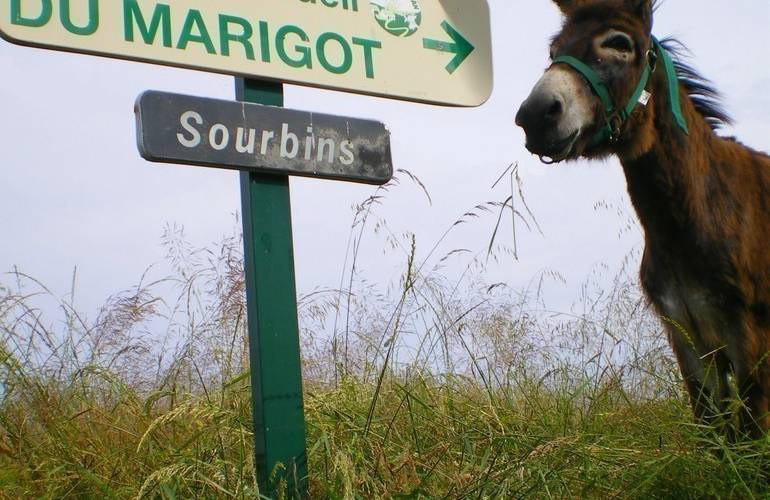  FERME DU MARIGOT (Occitanie, Aveyron)