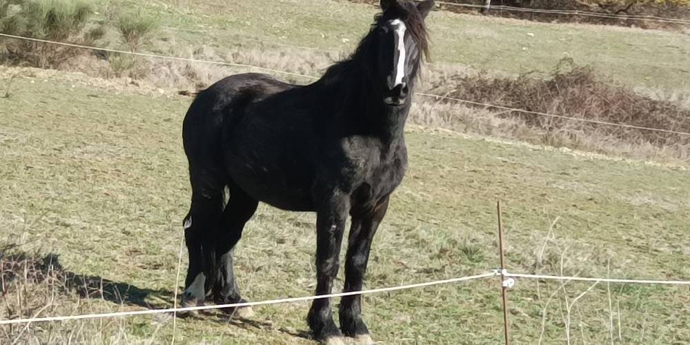  PAUL (Occitanie, Gers)