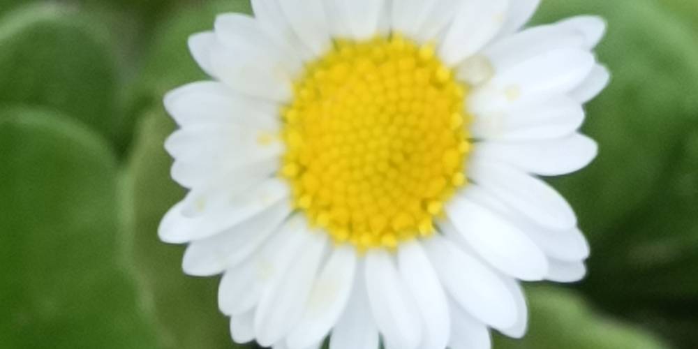  PAUL (Occitanie, Gers)