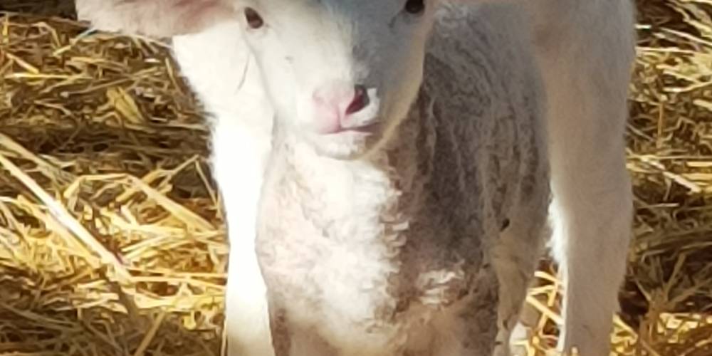  PAUL (Occitanie, Gers)