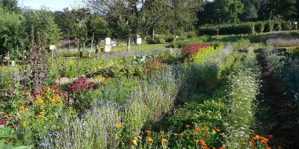  LA GRANGE AUX MILLE SAVEURS (Auvergne-Rhône-Alpes, Loire)