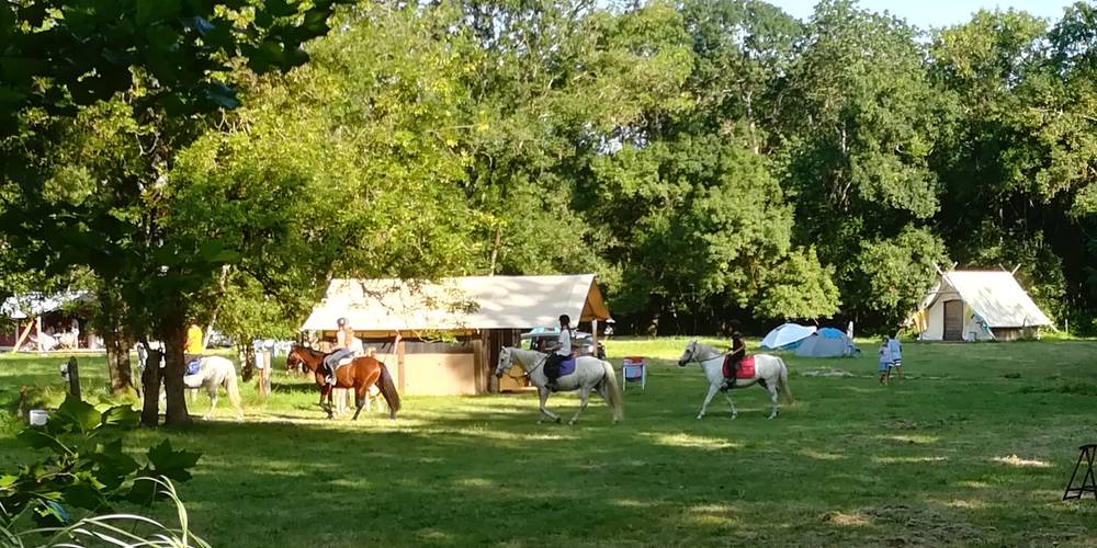  FERME BIO ESTUAIRE LA GRAVELLE (Nouvelle-Aquitaine, Charente-Maritime)