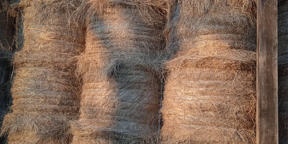  FERME DE LA CHARITÉ (Centre-Val de Loire, Indre)
