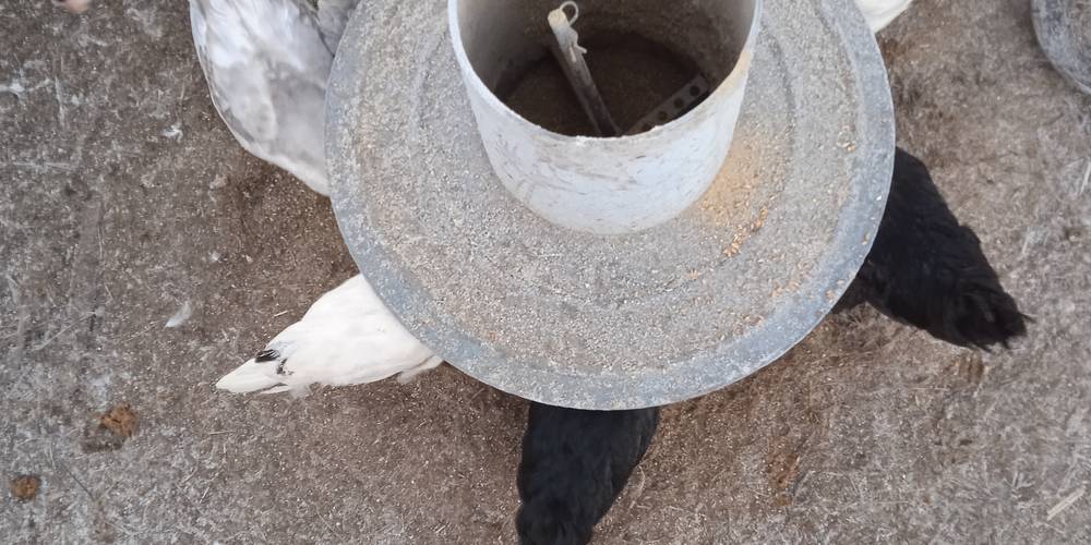  FERME DE LA CHARITÉ (Centre-Val de Loire, Indre)