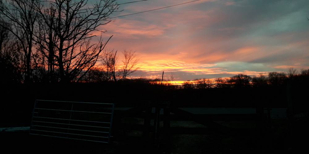 FERME DE LA CHARITÉ (Centre-Val de Loire, Indre)
