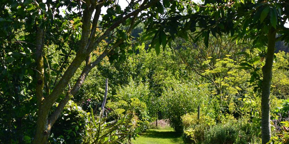 chemin menant au potager permacole -  HERBARIUS (Bretagne, Côtes-d'Armor)