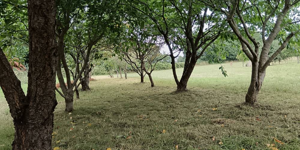 camping -  HERBARIUS (Bretagne, Côtes-d'Armor)