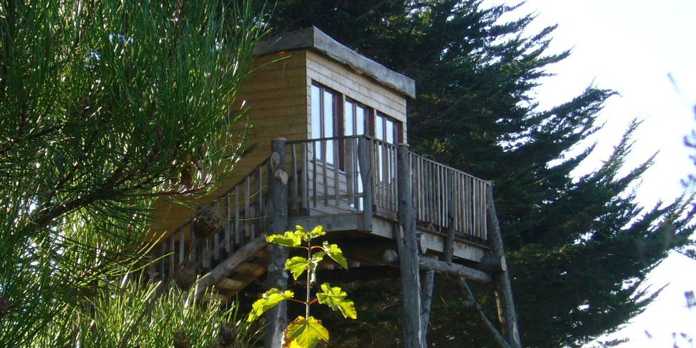 la cabane dans les arbres -  HERBARIUS (Bretagne, Côtes-d'Armor)