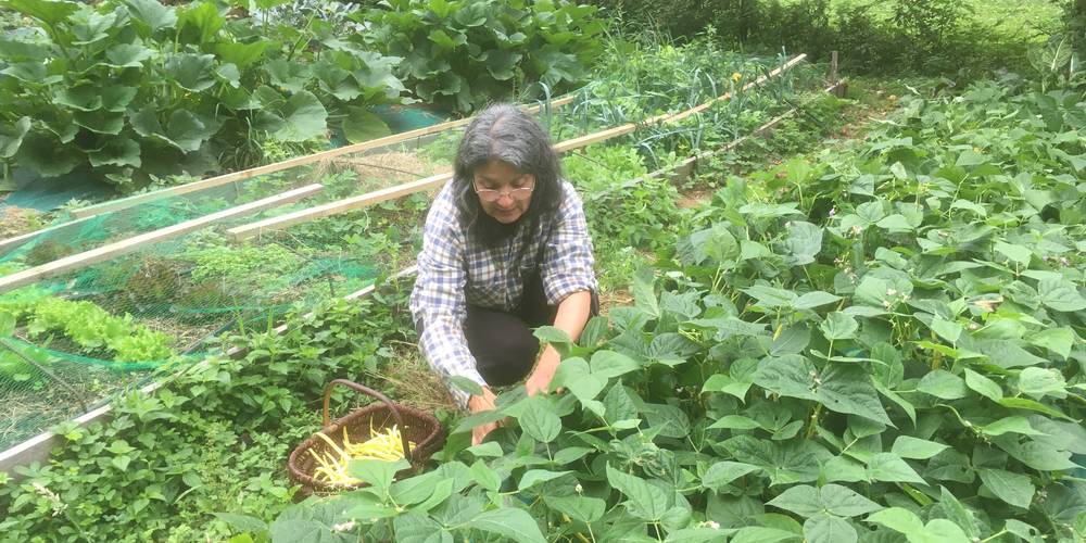  GITES DE SARDA LE FORT (Occitanie, Ariège)