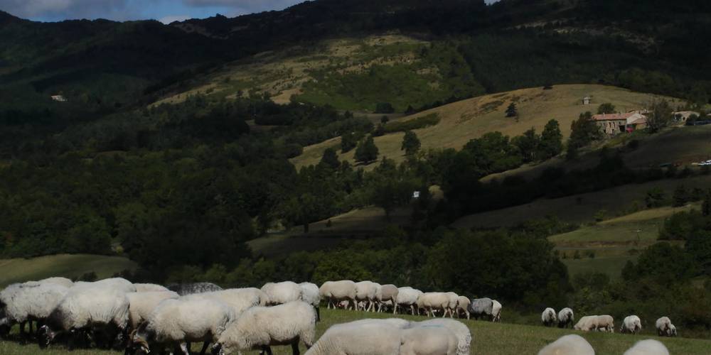  LA BORDE JEAN-MARIE (Occitanie, Aude)
