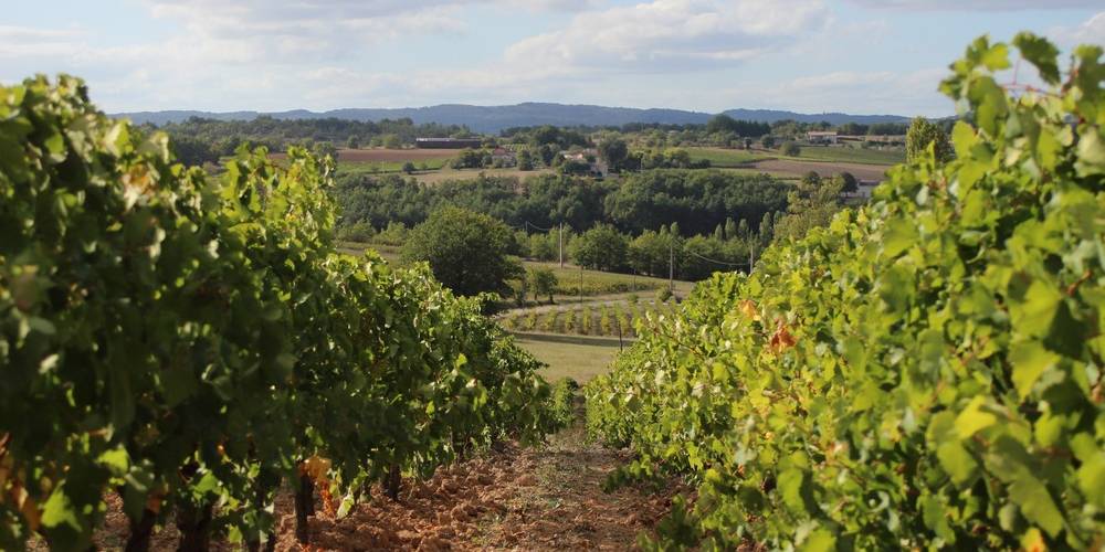  DOMAINE DE PEYRES-COMBE (Occitanie, Tarn)