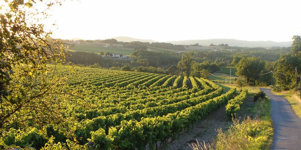  DOMAINE DE PEYRES-COMBE (Occitanie, Tarn)