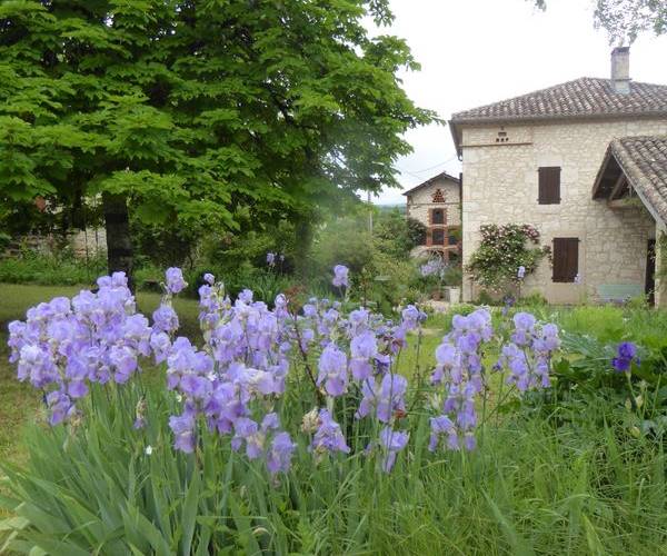  DOMAINE DE PEYRES-COMBE (Occitanie, Tarn)