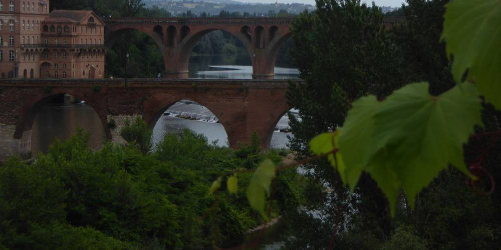  DOMAINE DE PEYRES-COMBE (Occitanie, Tarn)