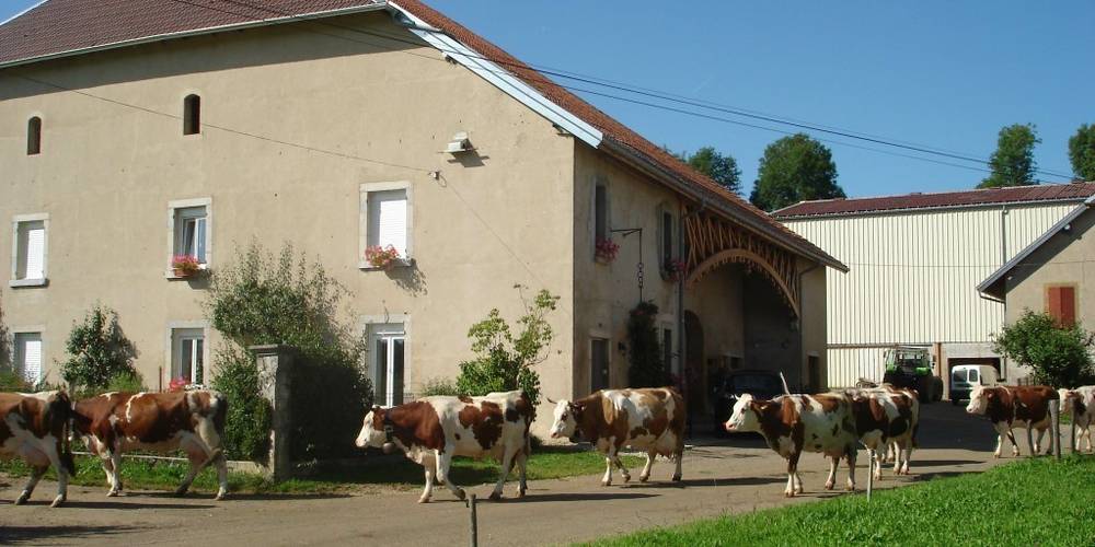  FERME DES BESSON (Bourgogne-Franche-Comté, Jura)