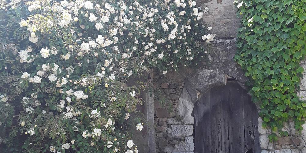  GÎTE DE L'AUFRERE (Pays de la Loire, Loire-Atlantique)