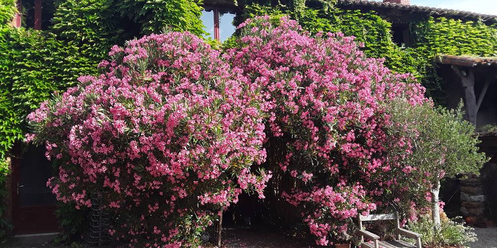  GÎTE DE L'AUFRERE (Pays de la Loire, Loire-Atlantique)