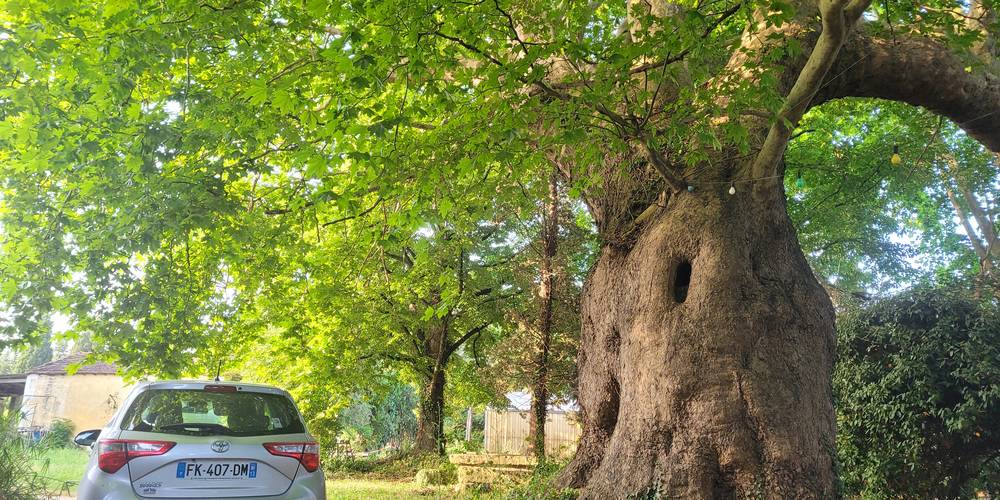  Mas du Sacré Coeur (Provence-Alpes-Côte d’Azur, Bouches-du-Rhône)
