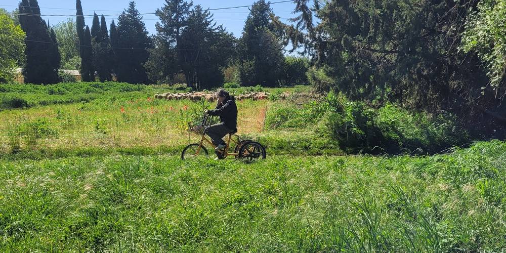  Mas du Sacré Coeur (Provence-Alpes-Côte d’Azur, Bouches-du-Rhône)