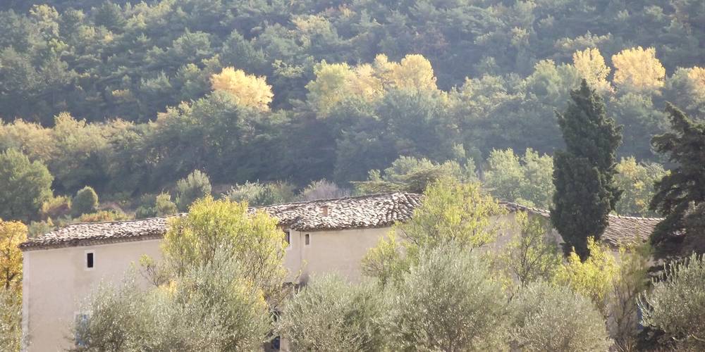 LA FERME -  FERME DU DÉSERT (Provence-Alpes-Côte d’Azur, Vaucluse)