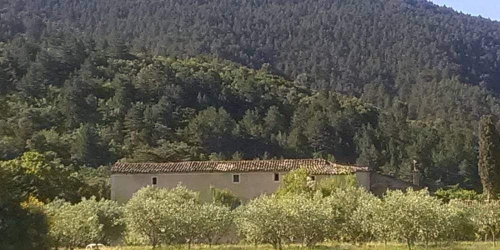 LA FERME ET LES OLIVIERS -  FERME DU DÉSERT (Provence-Alpes-Côte d’Azur, Vaucluse)