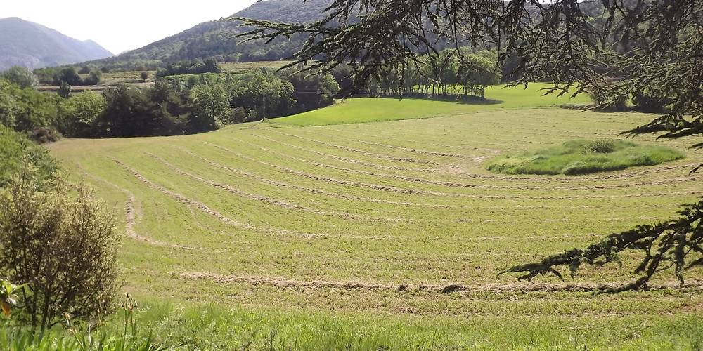 VUE DEPUIS LE GITE -  FERME DU DÉSERT (Provence-Alpes-Côte d’Azur, Vaucluse)