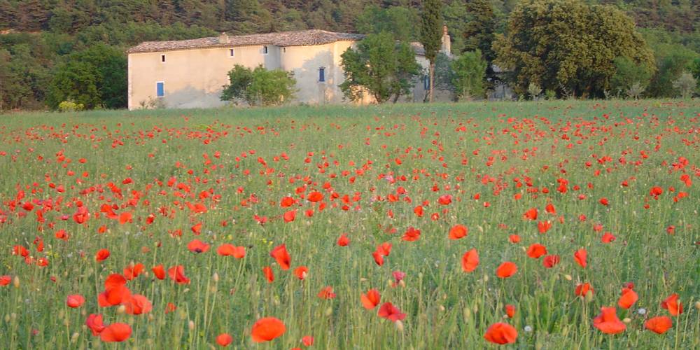 LA FERME -  FERME DU DÉSERT (Provence-Alpes-Côte d’Azur, Vaucluse)