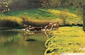  LA JUMENTERIE PASTORALE (Nouvelle-Aquitaine, Creuse)