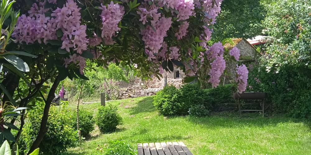 Jardin en avril -  LA FERME DE ROQUECAVE (Occitanie, Hérault)