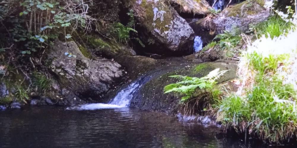 La fontaine en forêt -  LA FERME DE ROQUECAVE (Occitanie, Hérault)