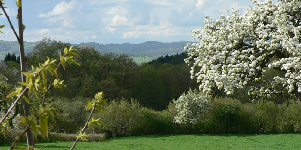  FERME DU POIRIER (Bourgogne-Franche-Comté, Saône-et-Loire)