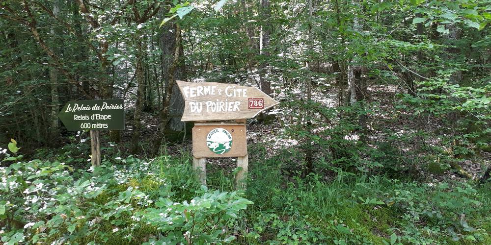  FERME DU POIRIER (Bourgogne-Franche-Comté, Saône-et-Loire)