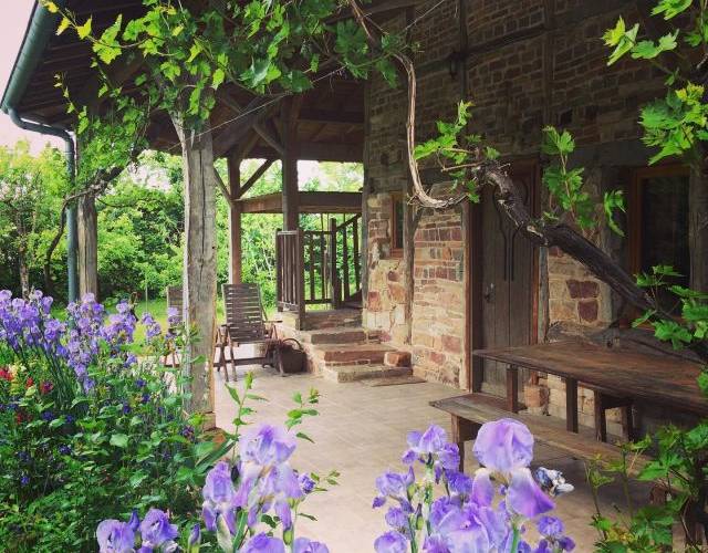  LE VERGER D'ANTONINE (Auvergne-Rhône-Alpes, Ain)