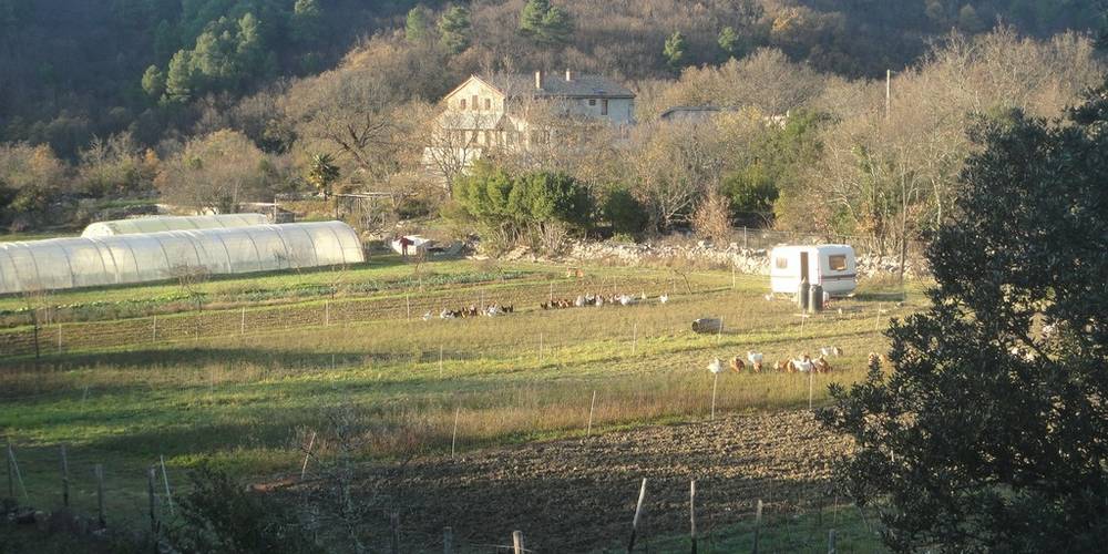  MAS DES BUISSIÈRES (Occitanie, Gard)