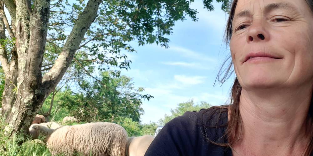 Jorinde avec les brebis -  MAS DES BUISSIÈRES (Occitanie, Gard)