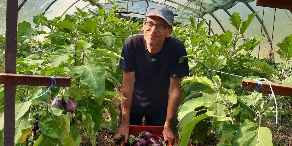 Berni au jardin -  MAS DES BUISSIÈRES (Occitanie, Gard)